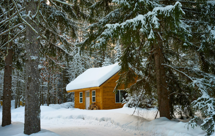 stuga i skogen